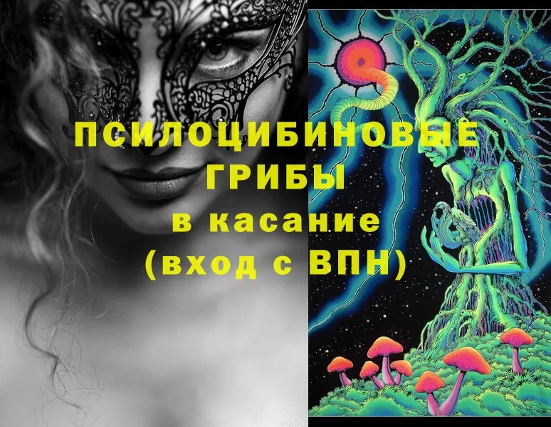 Псилоцибиновые грибы Cubensis  как найти закладки  блэк спрут ссылка  Полевской 